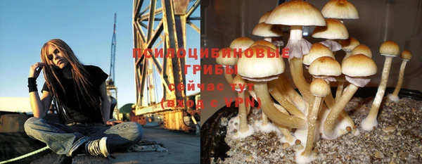 MDMA Нязепетровск