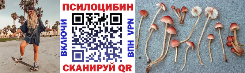 Псилоцибиновые грибы Magic Shrooms  мориарти Telegram  Старая Русса  как найти наркотики 