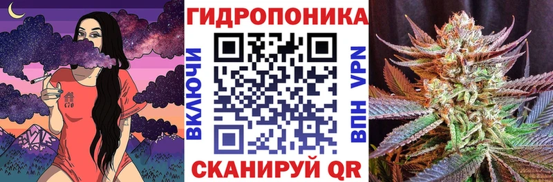 купить  цена  Старая Русса  Марихуана семена 
